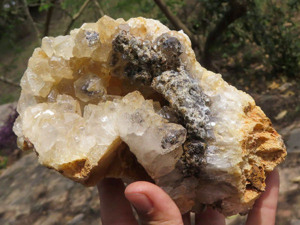 Natural Golden Limonite Quartz Vug Specimens With Goethite Inclusions  x 2 From Zambia - TopRock