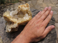 Natural Golden Limonite Quartz Vug Specimens With Goethite Inclusions  x 2 From Zambia - TopRock