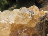 Natural Golden Limonite Quartz Vug Specimens With Goethite Inclusions  x 2 From Zambia - TopRock