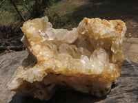 Natural Golden Limonite Quartz Vug Specimens With Goethite Inclusions  x 2 From Zambia - TopRock