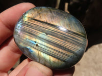 Polished Flashy Labradorite Palm Stones  x 20 From Madagascar - TopRock