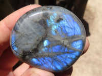 Polished Flashy Labradorite Palm Stones  x 20 From Madagascar - TopRock