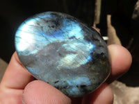 Polished Flashy Labradorite Palm Stones  x 20 From Madagascar - TopRock