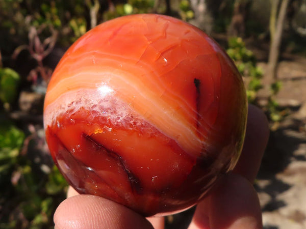 Polished  Carnelian Agate Spheres  x 6 From Madagascar