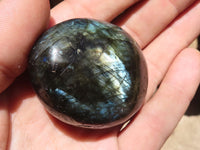 Polished Flashy Labradorite Palm Stones  x 20 From Madagascar - TopRock