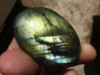 Polished Flashy Labradorite Palm Stones  x 20 From Madagascar - TopRock