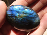 Polished Flashy Labradorite Palm Stones  x 20 From Madagascar - TopRock