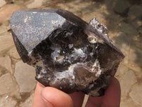 Natural Single Smokey Quartz Crystals  x 7 From Melanje, Malawi - TopRock