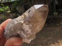 Natural Single Smokey Quartz Crystals  x 7 From Melanje, Malawi - TopRock