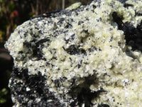 Natural Large Schorl Black Tourmaline Specimen With Quartz & Vermiculite x 1 From Erongo, Namibia