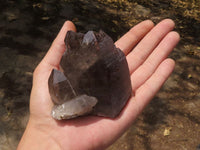 Natural Single Smokey Quartz Crystals  x 7 From Melanje, Malawi - TopRock