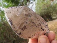 Natural Single Smokey Quartz Crystals  x 7 From Melanje, Malawi - TopRock