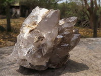 Natural Single Smokey Quartz Crystals  x 7 From Melanje, Malawi - TopRock