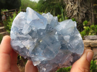 Natural Blue Celestite Crystal Specimens  x 3 From Sakoany, Madagascar - Toprock Gemstones and Minerals 