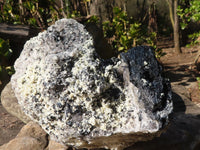 Natural Large Schorl Black Tourmaline Specimen With Quartz & Vermiculite x 1 From Erongo, Namibia