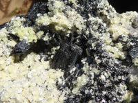 Natural Large Schorl Black Tourmaline Specimen With Quartz & Vermiculite x 1 From Erongo, Namibia