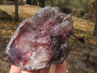 Natural Single Smokey Quartz Crystals  x 7 From Melanje, Malawi - TopRock