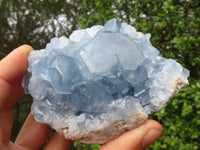 Natural Blue Celestite Crystal Specimens  x 3 From Sakoany, Madagascar - Toprock Gemstones and Minerals 