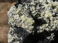 Natural Large Schorl Black Tourmaline Specimen With Quartz & Vermiculite x 1 From Erongo, Namibia