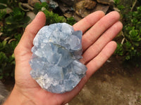 Natural Blue Celestite Crystal Specimens  x 3 From Sakoany, Madagascar - Toprock Gemstones and Minerals 