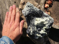 Natural Large Schorl Black Tourmaline Specimen With Quartz & Vermiculite x 1 From Erongo, Namibia