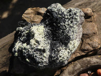 Natural Large Schorl Black Tourmaline Specimen With Quartz & Vermiculite x 1 From Erongo, Namibia