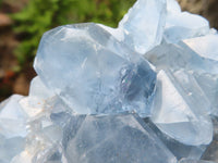 Natural Blue Celestite Crystal Specimens  x 3 From Sakoany, Madagascar - Toprock Gemstones and Minerals 