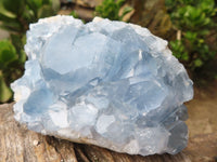 Natural Blue Celestite Crystal Specimens  x 3 From Sakoany, Madagascar - Toprock Gemstones and Minerals 