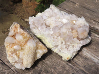 Natural Spirit Cactus Quartz Specimens  x 2 From Boekenhouthoek, South Africa - TopRock