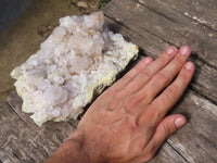 Natural Spirit Cactus Quartz Specimens  x 2 From Boekenhouthoek, South Africa - TopRock