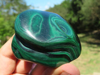 Polished Malachite Free Forms x 6 From Congo - TopRock