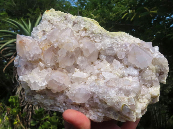 Natural Spirit Cactus Quartz Specimens  x 2 From Boekenhouthoek, South Africa - TopRock