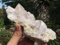 Natural Spirit Cactus Quartz Specimens  x 2 From Boekenhouthoek, South Africa - TopRock