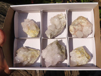 Natural White Cactus Flower Spirit Quartz Specimens x 6 From Boekenhouthoek, South Africa