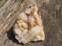 Natural Spirit Cactus Quartz Specimens  x 2 From Boekenhouthoek, South Africa - TopRock