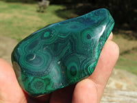 Polished Malachite Free Forms x 6 From Congo - TopRock