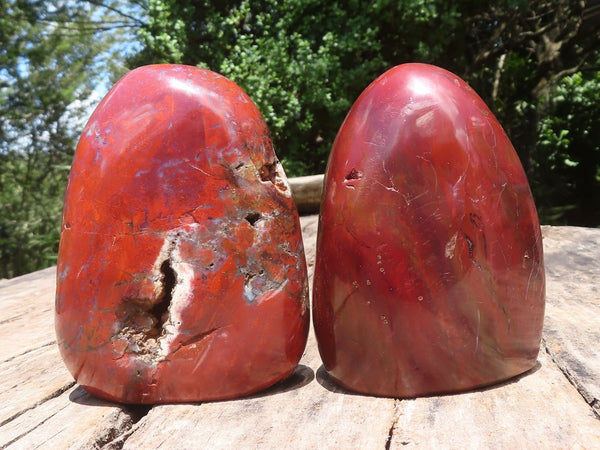 Polished Red Jasper Standing Free Forms  x 2 From Madagascar - TopRock