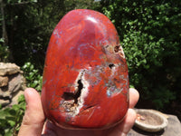 Polished Red Jasper Standing Free Forms  x 2 From Madagascar - TopRock