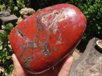 Polished Red Jasper Standing Free Forms  x 2 From Madagascar - TopRock