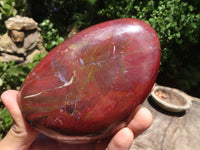 Polished Red Jasper Standing Free Forms  x 2 From Madagascar - TopRock