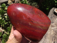 Polished Red Jasper Standing Free Forms  x 2 From Madagascar - TopRock