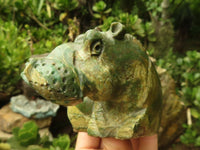 Polished Green Verdite Hippo Carvings  x 2 From Zimbabwe - TopRock