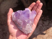 Natural Jacaranda Amethyst Clusters  x 2 From Zambia - Toprock Gemstones and Minerals 