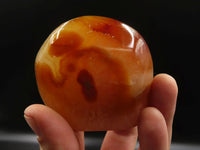 Polished Carnelian Standing Free Forms x 4 From Madagascar - TopRock