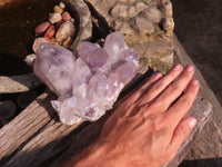 Natural Jacaranda Amethyst Clusters  x 2 From Zambia - Toprock Gemstones and Minerals 