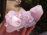 Natural Jacaranda Amethyst Clusters  x 2 From Zambia - Toprock Gemstones and Minerals 