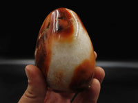 Polished Carnelian Standing Free Forms x 4 From Madagascar - TopRock