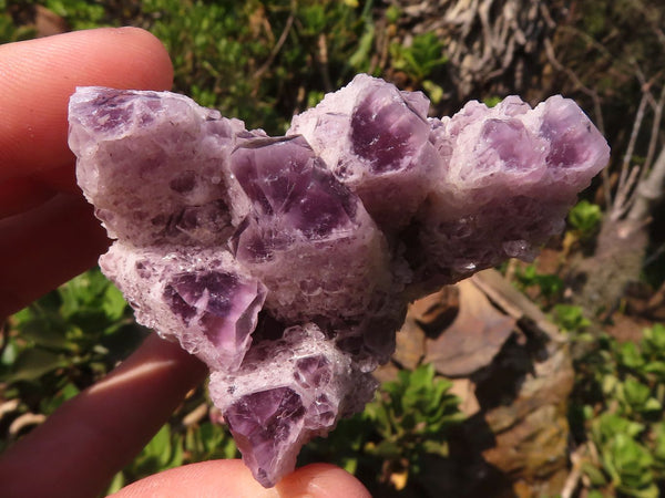 Natural Sugar Amethyst Clusters  x 6 From Solwezi, Zambia - Toprock Gemstones and Minerals 