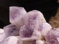 Natural Sugar Amethyst Clusters  x 6 From Solwezi, Zambia - Toprock Gemstones and Minerals 