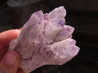 Natural Sugar Amethyst Clusters  x 6 From Solwezi, Zambia - Toprock Gemstones and Minerals 